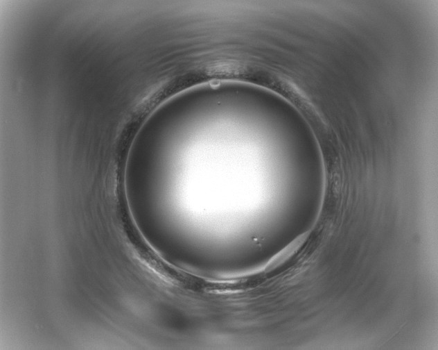 X0000066080637200603101141