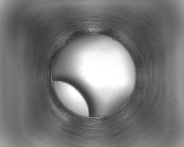 X0000066080639200603101141
