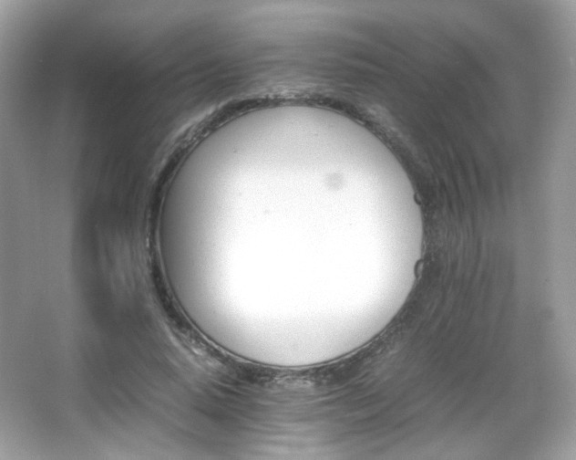 X0000066080640200603101141