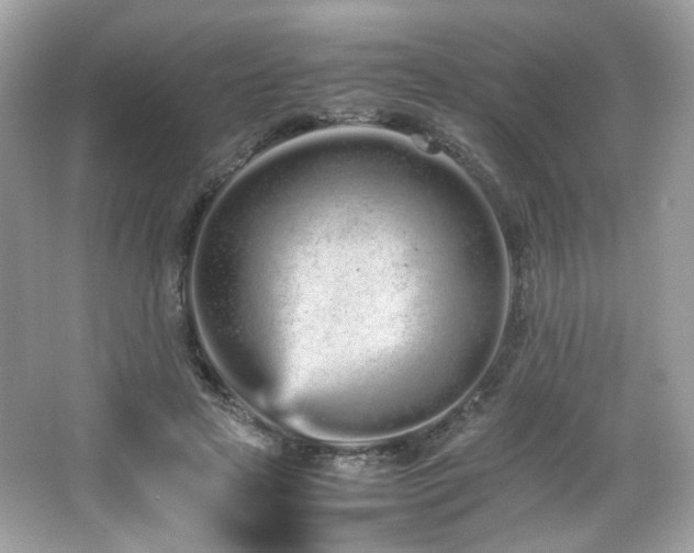 X0000066080641200603101141