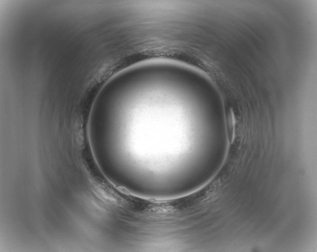 X0000066080642200603101141