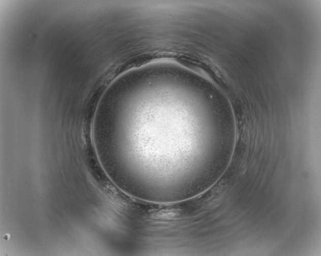 X0000066080643200603101141