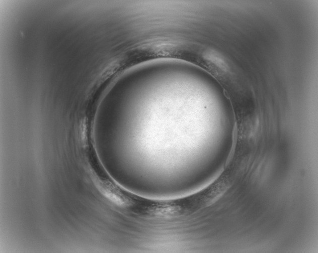 X0000066080646200603101141