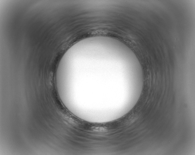 X0000066080649200603101141