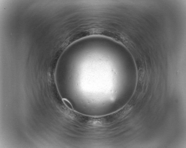 X0000066080655200603101141