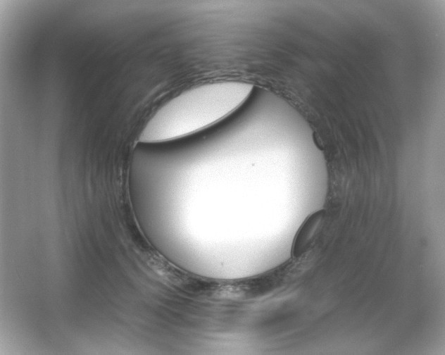 X0000066080656200603101141