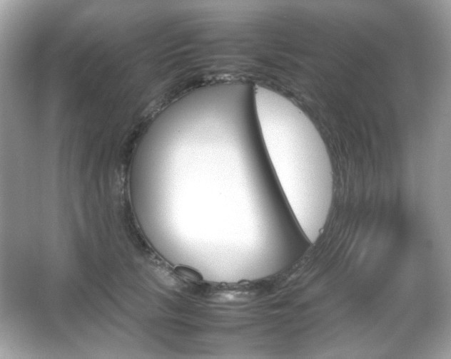 X0000066080657200603101141