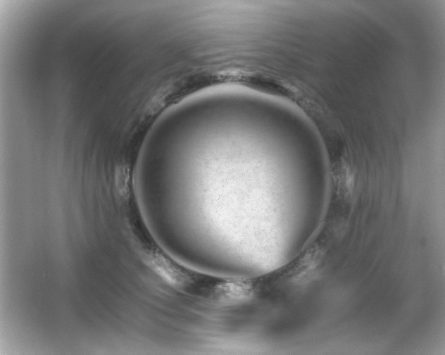 X0000066080660200603101141