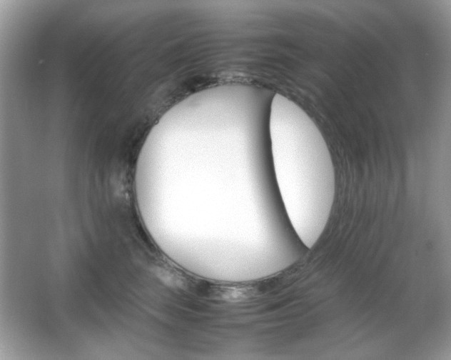 X0000066080663200603101141