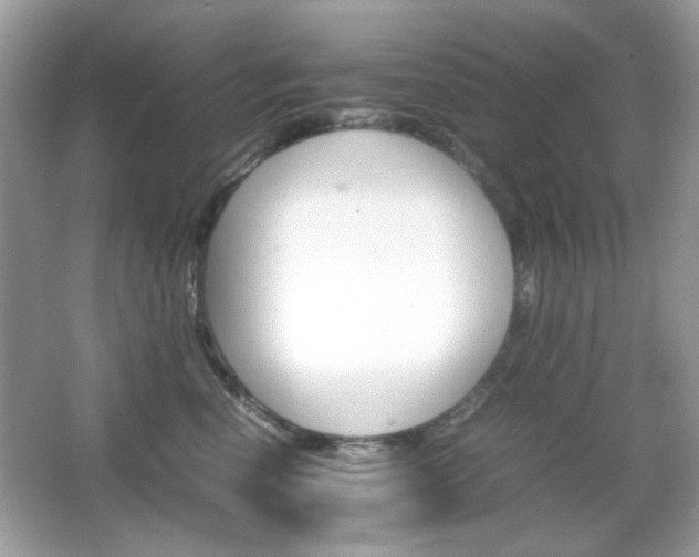 X0000066080666200603101141
