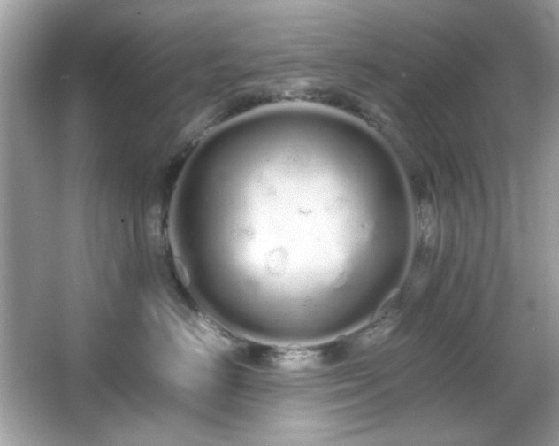 X0000066080670200603101142