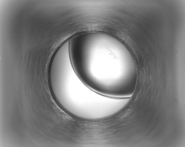 X0000066080673200603101141