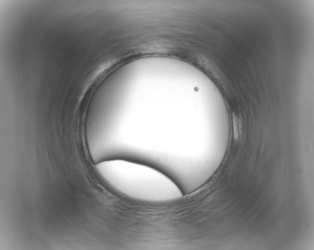 X0000066080675200603101141