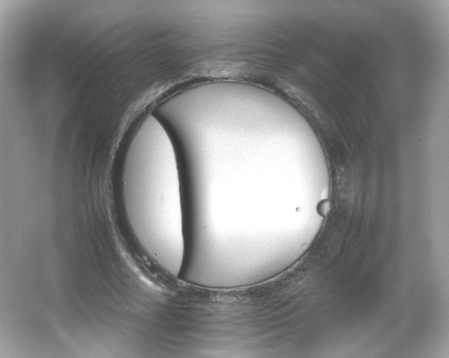 X0000066080682200603101141