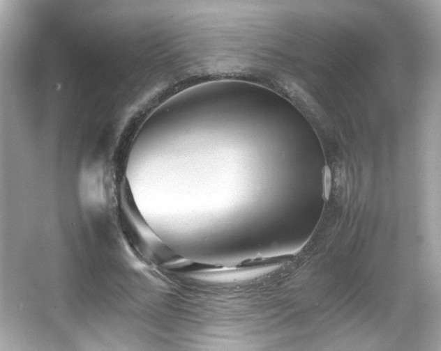 X0000066080684200603101141