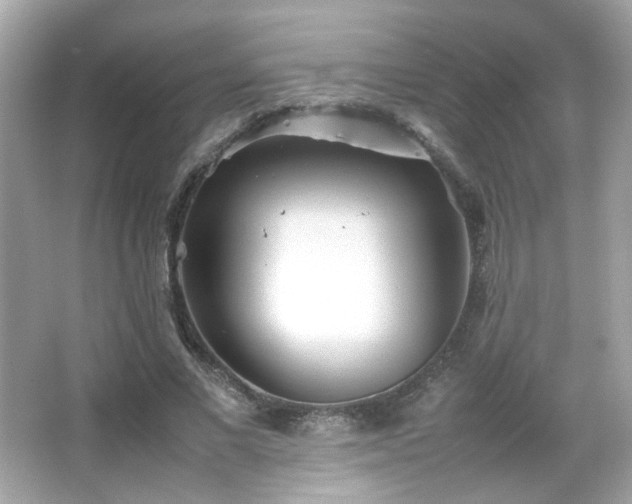 X0000066080685200603101141