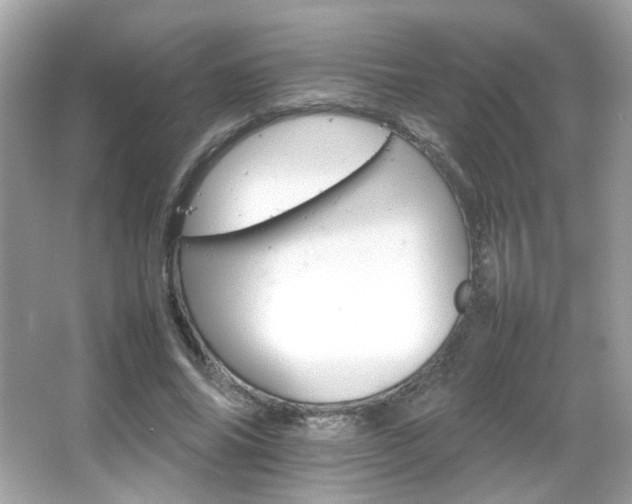 X0000066080686200603101141