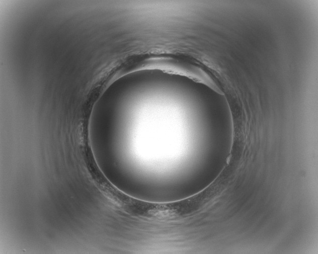 X0000066080689200603101140
