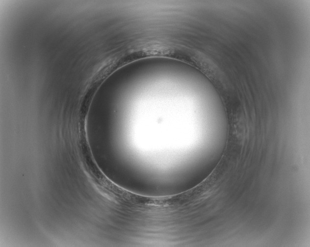 X0000066080690200603101140