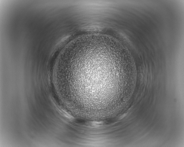 X0000066080692200603101140