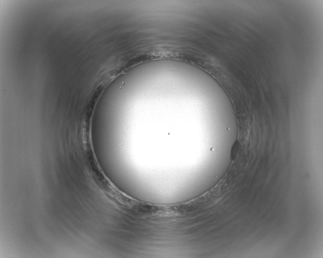 X0000066080696200603101140