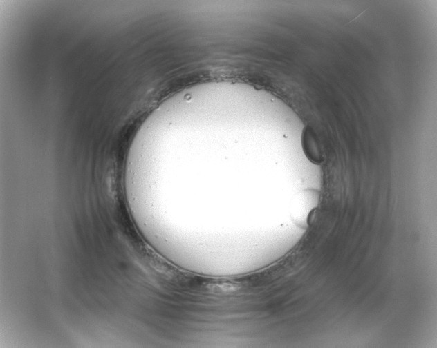X0000066080698200603101140
