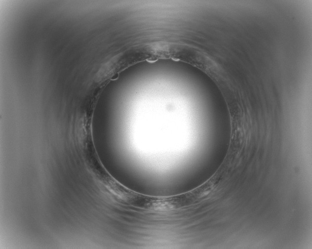 X0000066080702200603101140