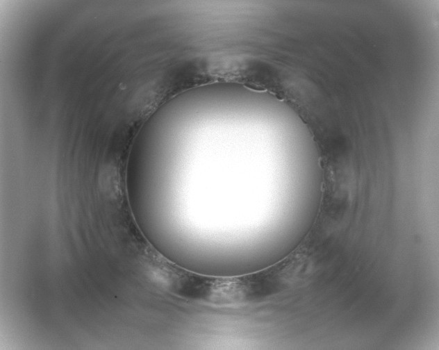 X0000066080705200603101140