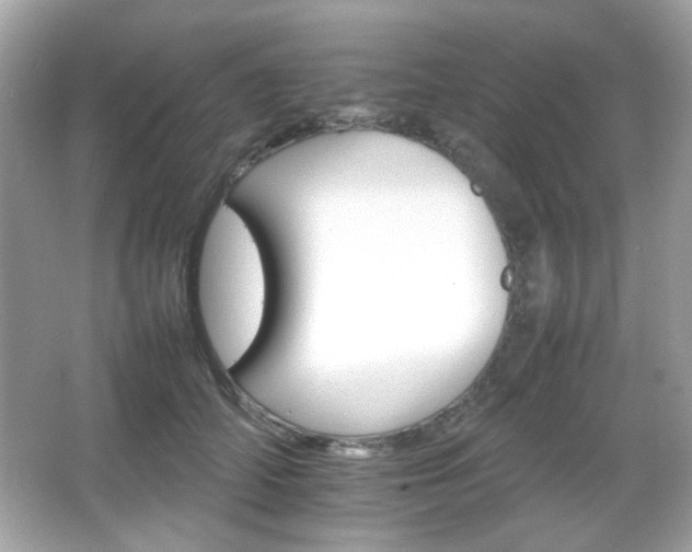 X0000066080706200603101140