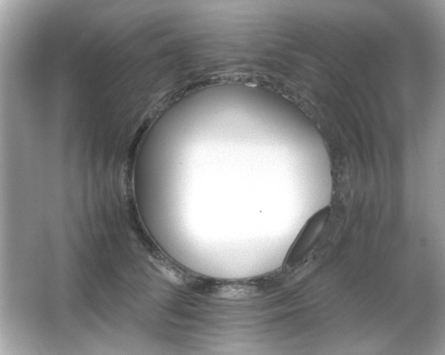 X0000066080708200603101140