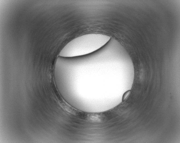 X0000066080710200603101140