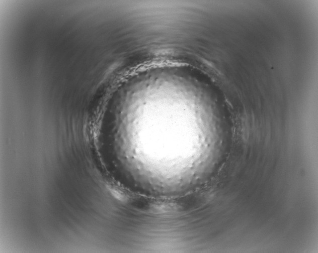X0000066080712200603101140