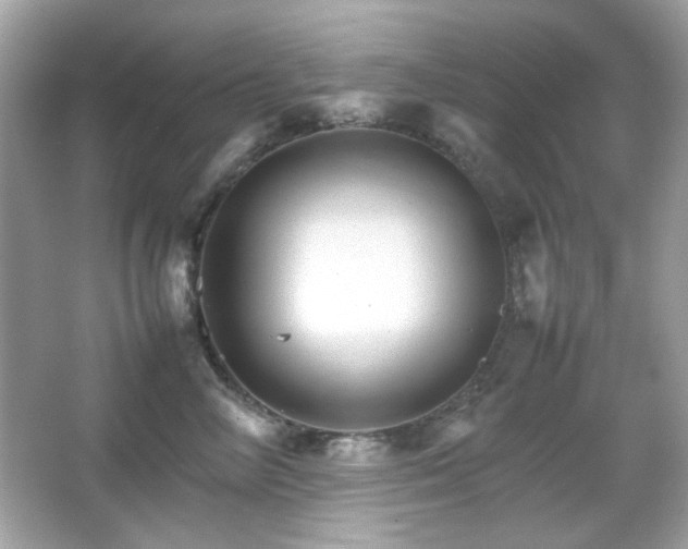 X0000066080714200603101140