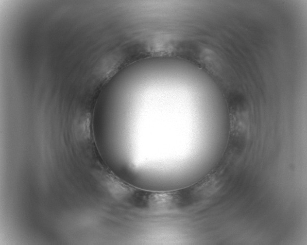 X0000066080717200603101140
