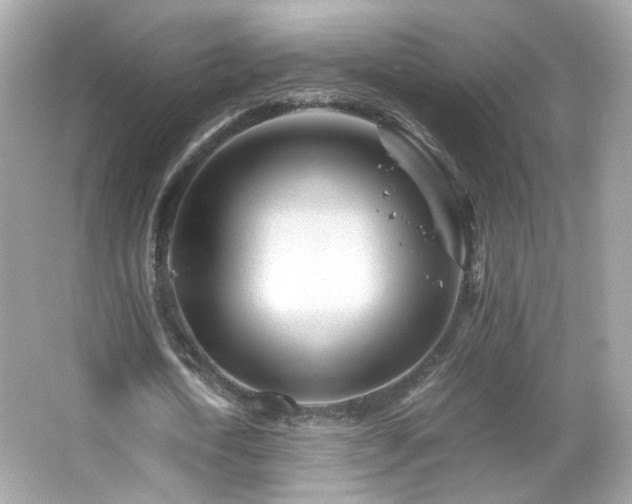 X0000066080722200603101139
