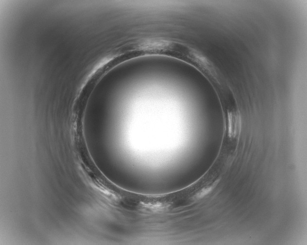 X0000066080723200603101139