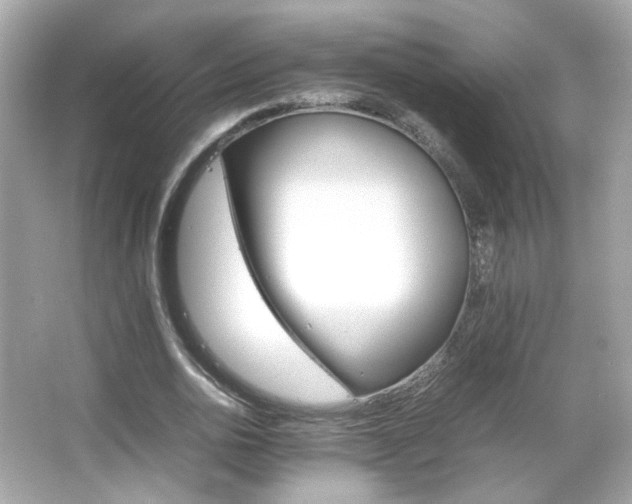 X0000066080726200603101139