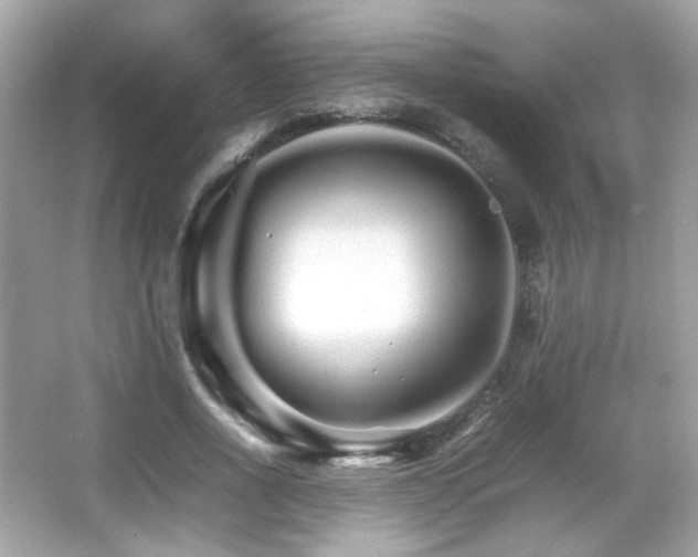 X0000066080734200603101139