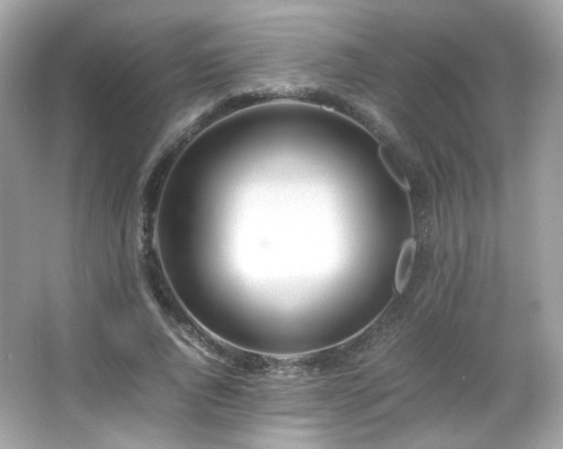 X0000066080736200603101139