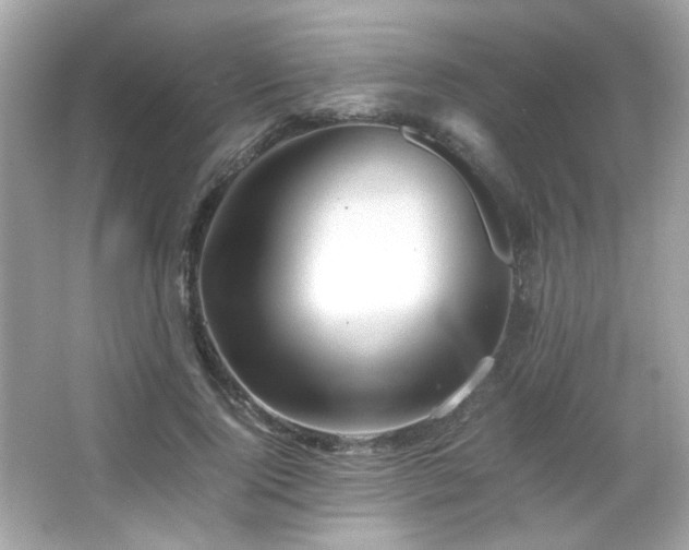 X0000066080740200603101139