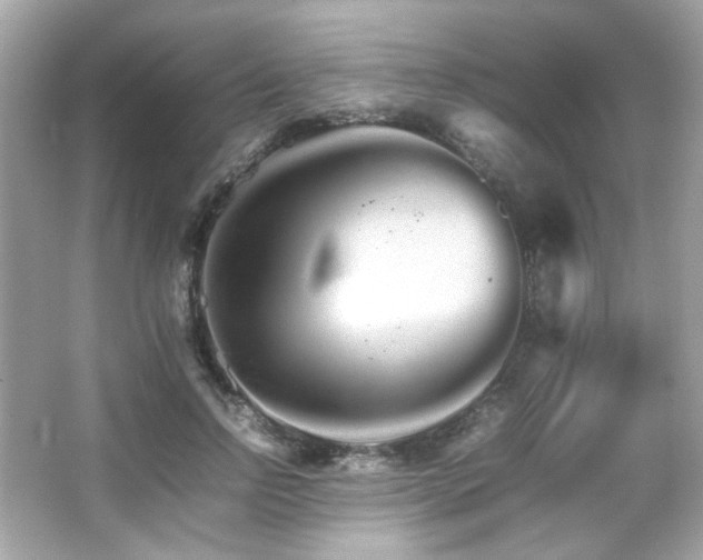 X0000066080742200603101139