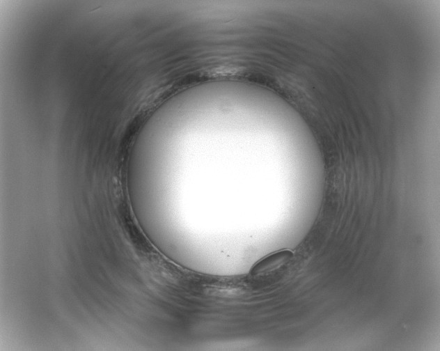 X0000066080743200603101139