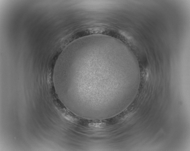 X0000066080745200603101140