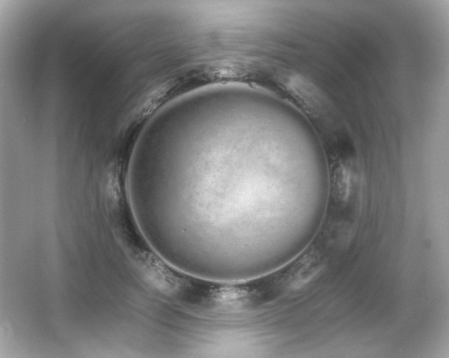 X0000066080746200603101140