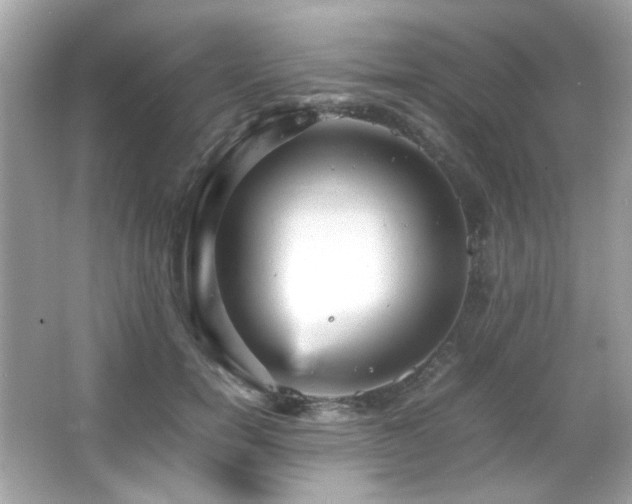 X0000066080750200603101140