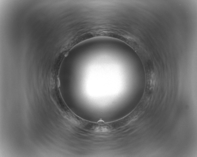 X0000066080751200603101140