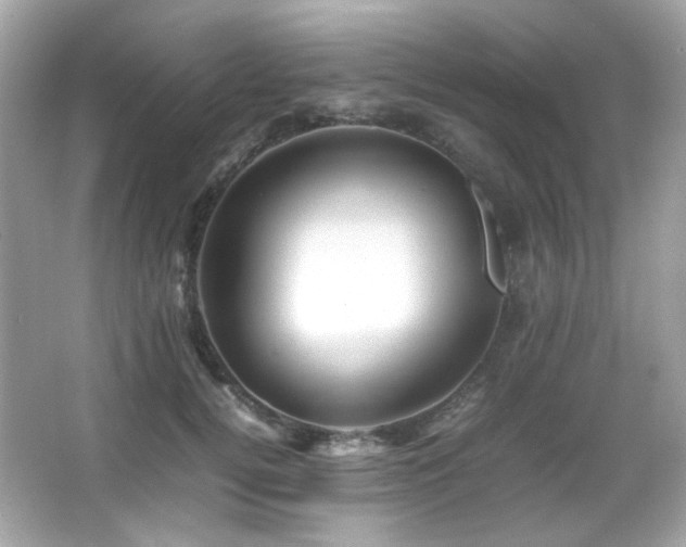 X0000066080752200603101140