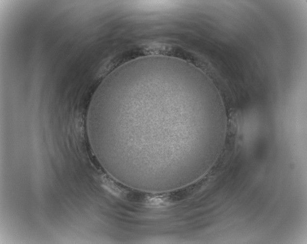 X0000066080753200603101140