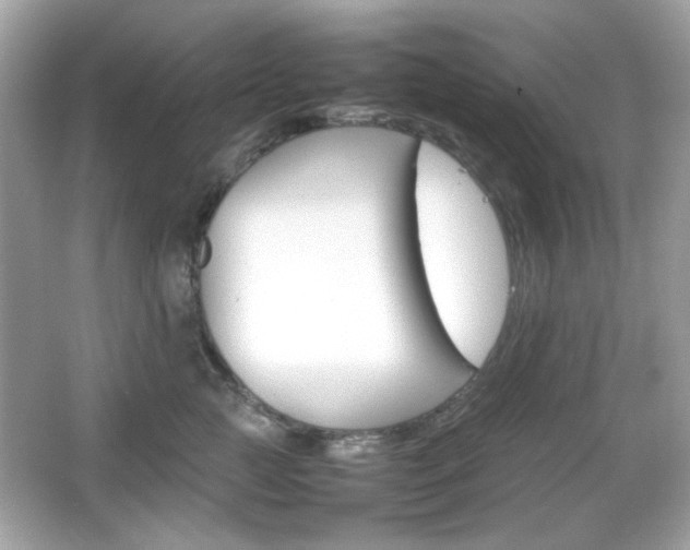 X0000066080761200603101140