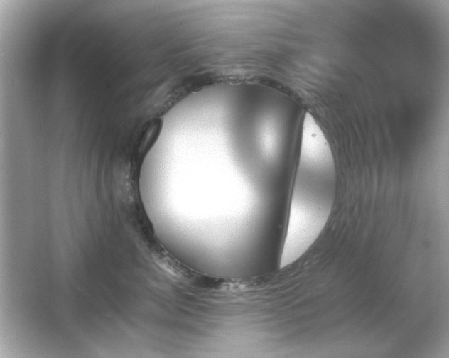 X0000066080764200603101140
